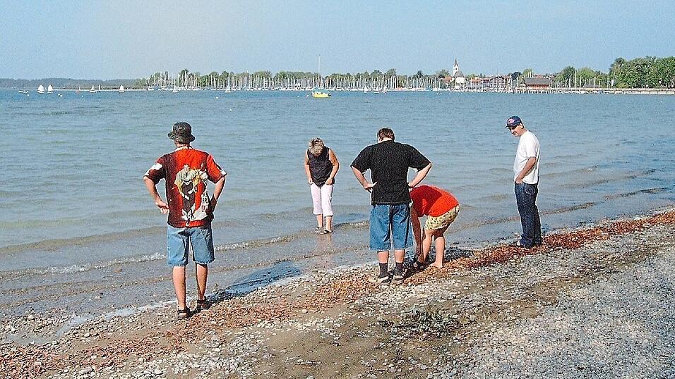 Bis an den Chiemsee ging es schon mit der OBA.