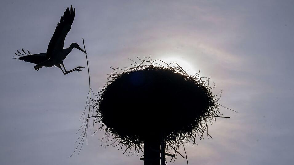 Vereinzelt kommt die Sonne durch, doch oft bleibt es Anfang der Woche bewölkt im Freistaat. (Archivbild) Vereinzelt kommt die Sonne durch, doch oft bleibt es Anfang der Woche bewölkt im Freistaat. (Archivbild)