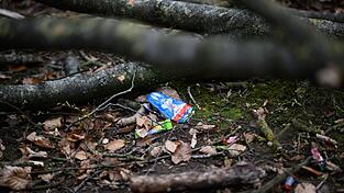 Durch einen umgestürzten Baum sind bei Flensburg drei Menschen ums Leben gekommen. Durch einen umgestürzten Baum sind bei Flensburg drei Menschen ums Leben gekommen.