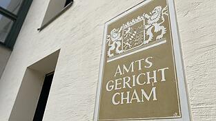 Vor Gericht hat der Mann eine Geldstrafe von 3.000 Euro kassiert und muss nun weitere acht Monate auf seinen Führerschein verzichten. (Symbolbild) Vor Gericht hat der Mann eine Geldstrafe von 3.000 Euro kassiert und muss nun weitere acht Monate auf seinen Führerschein verzichten. (Symbolbild)