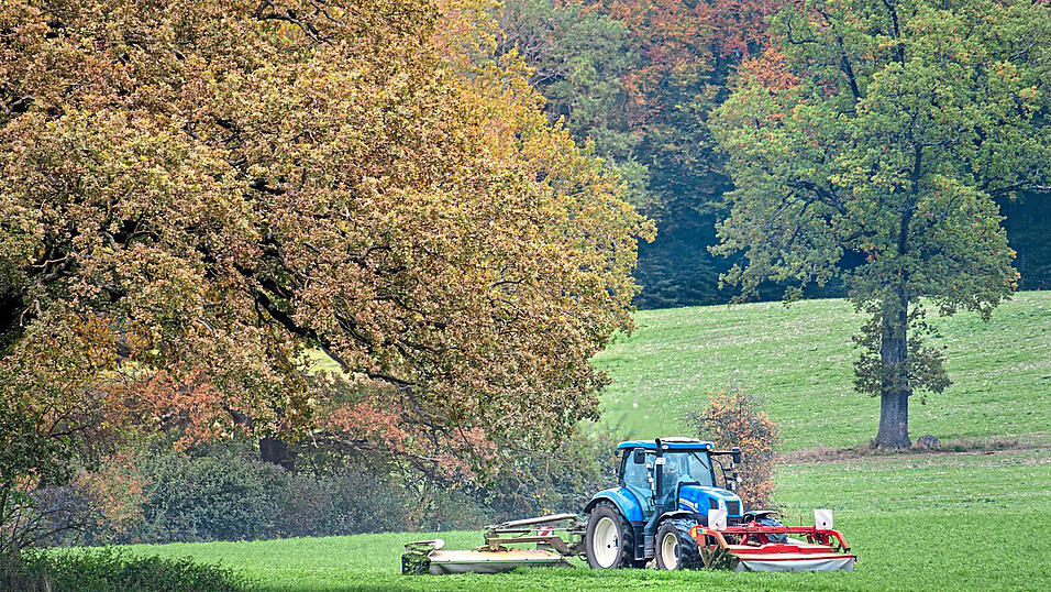 In Landschaftspflegeprojekten tragen auch Landwirte, etwa mit schonender Mahd, zum Naturschutz bei.
