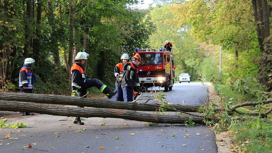 So wütete Sturmtief 'Fabienne' am Sonntag in der Oberpfalz. Zugausfälle, umgestürzte Bäume und sogar eine meterlange Kirchweihbaumspitze, die auf das Dach eines Festzeltes krachte. So wütete Sturmtief 'Fabienne' am Sonntag in der Oberpfalz. Zugausfälle, umgestürzte Bäume und sogar eine meterlange Kirchweihbaumspitze, die auf das Dach eines Festzeltes krachte.
