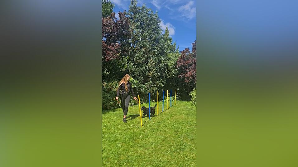 Unsere Autorin Anna Roppelt mit ihrem Hund Laila beim Slalom-Training, einer von vielen Agility-Übungen. Unsere Autorin Anna Roppelt mit ihrem Hund Laila beim Slalom-Training, einer von vielen Agility-Übungen.
