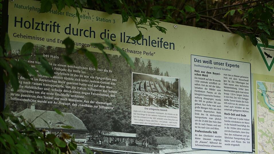 Wunderschönes Ausflugsziel in Passau: die Halser Ilzschleifen. Wunderschönes Ausflugsziel in Passau: die Halser Ilzschleifen.