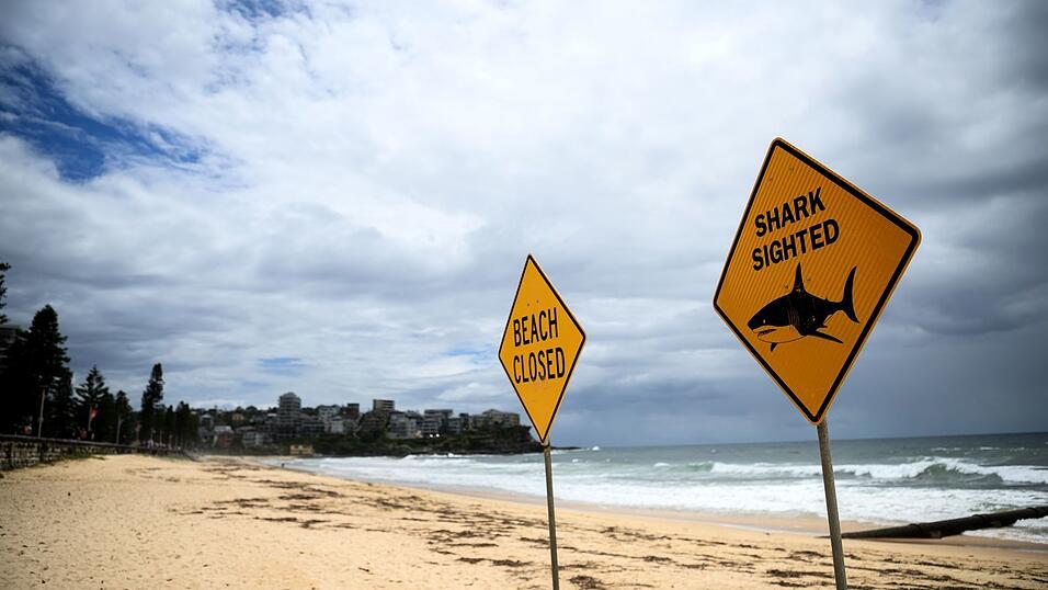 In den vergangenen Tagen wurden immer wieder Haie gesichtet - auch vor dem ber&uuml;hmten Bondi Beach. (Symbolbild)