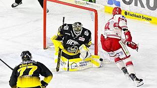 Zu seltener Anblick: Der EV Landshut zeigt gegen Krefeld immer wieder gute Ans&auml;tze, l&auml;sst aber die Konstanz v&ouml;llig vermissen. Wirklich Druck machen Tobias Lindberg (rechts) und Co. den Pinguinen so nicht. Bleibt&rsquo;s auch am Dienstag dabei, ist die Saison wohl beendet.