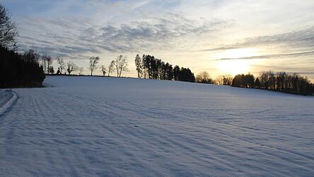Auf diesem Feld in G&ouml;tzdorf, links im Eck, soll ein neuer Mobilfunkmast gebaut werden.
