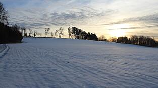 Auf diesem Feld in G&ouml;tzdorf, links im Eck, soll ein neuer Mobilfunkmast gebaut werden.