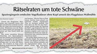 In der Ausgabe am Montag berichtete das Tagblatt über das mysteriöse Schwanensterben unweit des Flugplatzes Wallmühle.