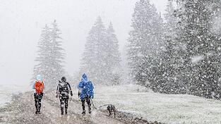 Bis zu 20 Zentimeter Neuschnee sollen am Samstag in Teilen der bayerischen Alpen fallen. (Archivbild) Bis zu 20 Zentimeter Neuschnee sollen am Samstag in Teilen der bayerischen Alpen fallen. (Archivbild)