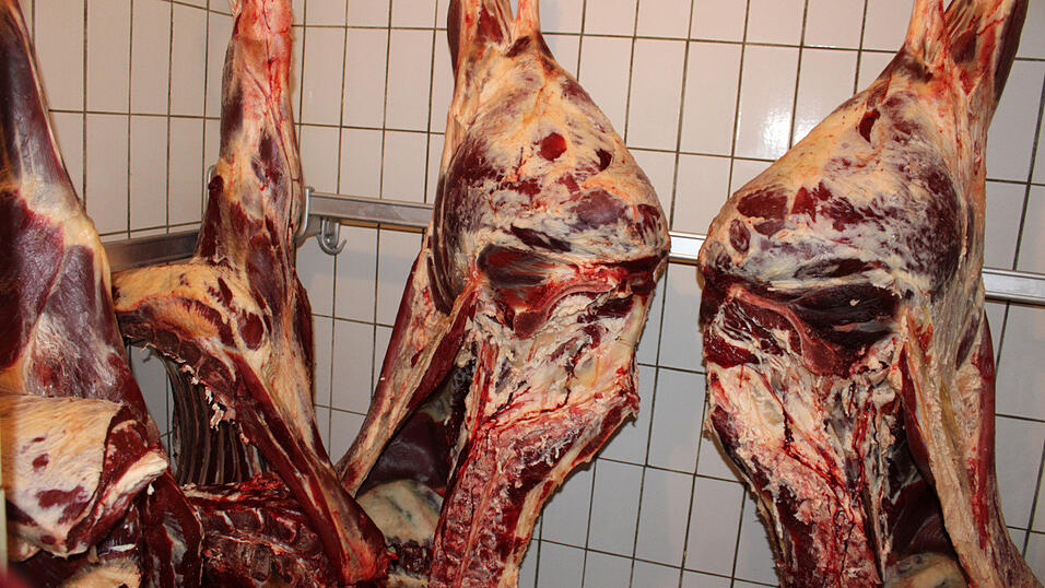 ... zwei Kühlungen, worin das Fleisch zum Abhängen aufbewahrt wird, ... ... zwei Kühlungen, worin das Fleisch zum Abhängen aufbewahrt wird, ...