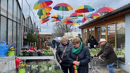 Gut und bunt beschirmt: Die Klostergärtnerei hatte vorgesorgt.