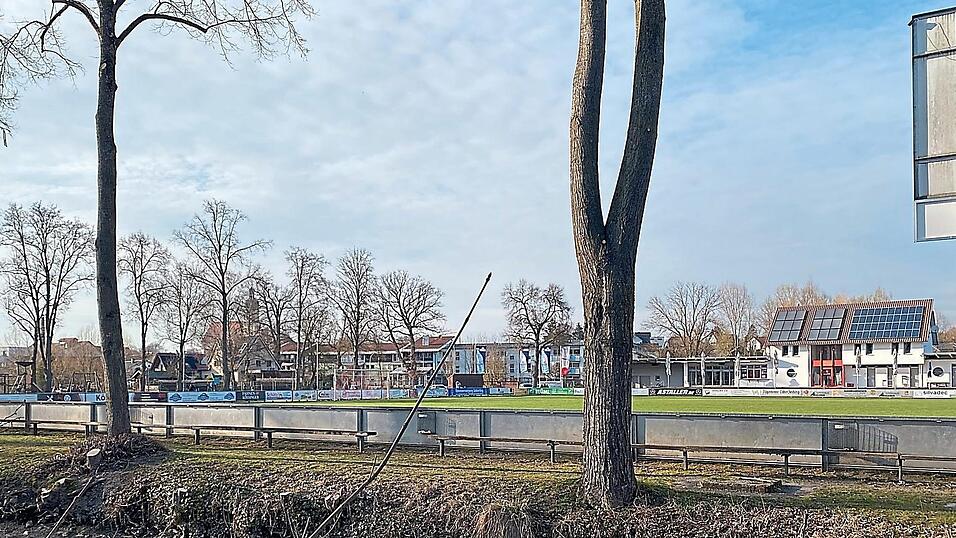 Die Marktgemeinde gew&auml;hrt dem TV Schierling f&uuml;r Baumpflegearbeiten am Laberstadion einen Zuschuss.