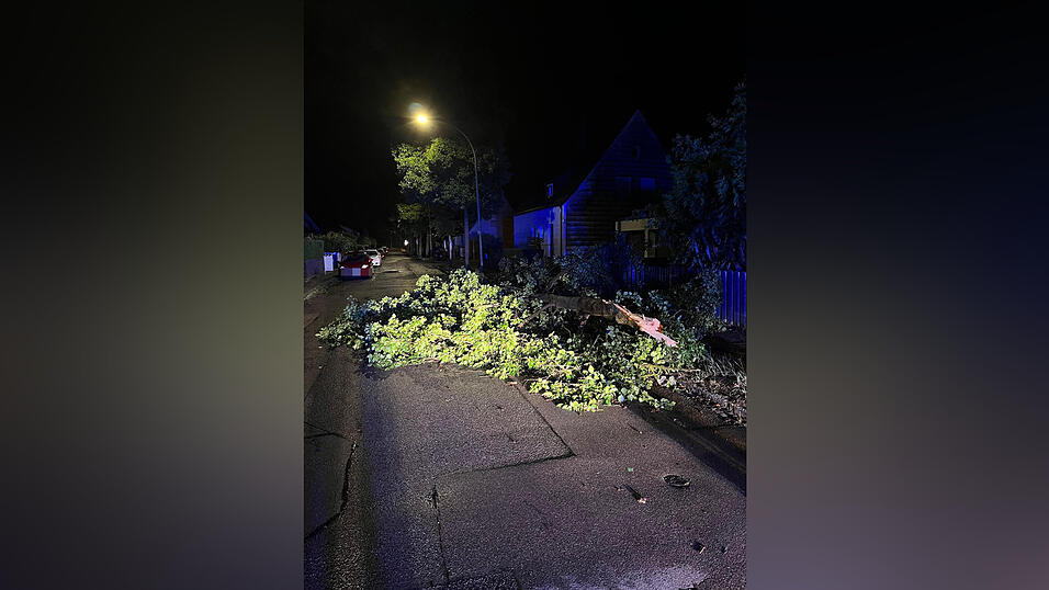 Mehr als 40 Eins&auml;tze hatten die L&ouml;schz&uuml;ge der Landshuter Feuerwehr im Zuge des Unwetters zu absolvieren.
