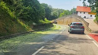 Ein 'Gurkenteppich' auf der Fahrbahn war in Mamming zu sehen. Die Stra&szlig;e konnte aber schnell wieder gereinigt werden.