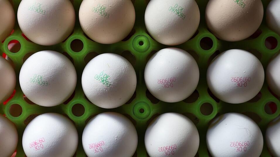 Eier könnten durch die Vogelgrippe teurer werden. (Symbolbild) Eier könnten durch die Vogelgrippe teurer werden. (Symbolbild)