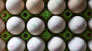 Eier könnten durch die Vogelgrippe teurer werden. (Symbolbild) Eier könnten durch die Vogelgrippe teurer werden. (Symbolbild)