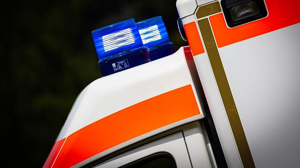 Das bereits von einem Auto getroffene Tier durchbrach beim Auto des 78-Jährigen die Windschutzscheibe. (Symbolbild) Das bereits von einem Auto getroffene Tier durchbrach beim Auto des 78-Jährigen die Windschutzscheibe. (Symbolbild)