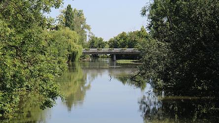 Die Situation in den Flie&szlig;gew&auml;ssern - wie hier der Vils - h&auml;ngt von Wassertemperatur, Sauerstoffgehalt, Wasserstand und Str&ouml;mung ab.