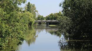 Die Situation in den Fließgewässern - wie hier der Vils - hängt von Wassertemperatur, Sauerstoffgehalt, Wasserstand und Strömung ab. Die Situation in den Fließgewässern - wie hier der Vils - hängt von Wassertemperatur, Sauerstoffgehalt, Wasserstand und Strömung ab.