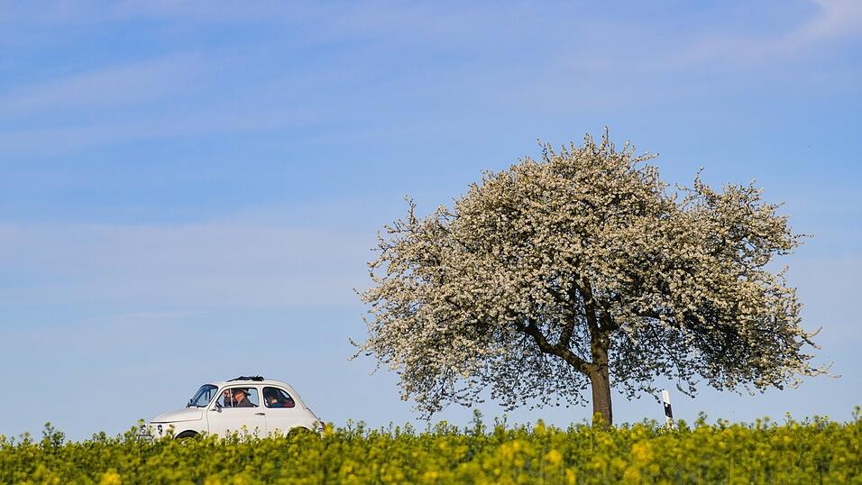 Ein Fiat 500, produziert von 1957 bis 1975. Die Bodenmaiser BTM bittet Besitzer von italienischen Oldtimern, sich zu melden. Ein Fiat 500, produziert von 1957 bis 1975. Die Bodenmaiser BTM bittet Besitzer von italienischen Oldtimern, sich zu melden.