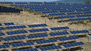Grundsätzlich steht die Gemeinde Freiflächenphotovoltaikanlagen offen gegenüber.