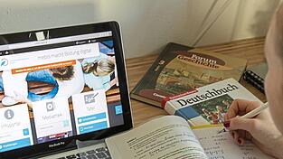 Martina Zanner ist Lehrerin und Systembetreuerin am Ursulinen-Gymnasium in Straubing. Foto: privat