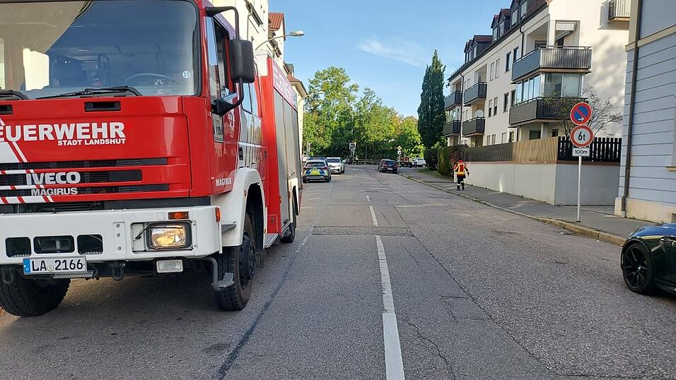 Die Feuerwehr kümmerte sich um die Verkehrsführung. 