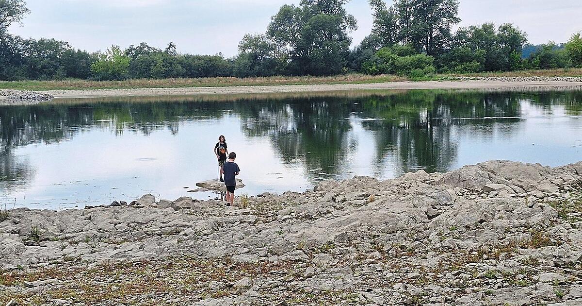 Danube water level remains low: Guided tour to the Hungerstein near ...