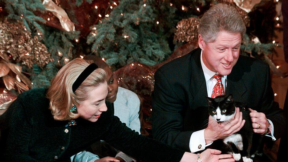 Die Clintons lernten sich an der Uni kennen (Archivbild). Die Clintons lernten sich an der Uni kennen (Archivbild).