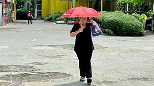 Viele sch&uuml;tzen sich mit Schirmen vor der Sonne.