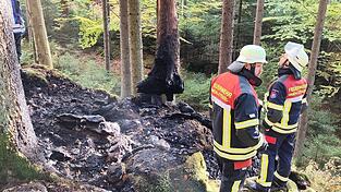 Eine Herausforderung für die Einsatzkräfte war das unwegsame, nur schwer erreichbare Gelände des Waldbrandes bei Gut Kless Arrach. Eine Herausforderung für die Einsatzkräfte war das unwegsame, nur schwer erreichbare Gelände des Waldbrandes bei Gut Kless Arrach.