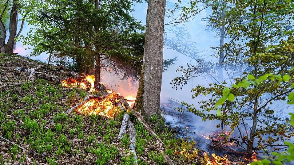 In Werdohl n&auml;herten sich die Flammen einer Wohnsiedlung, konnten aber gestoppt werden.