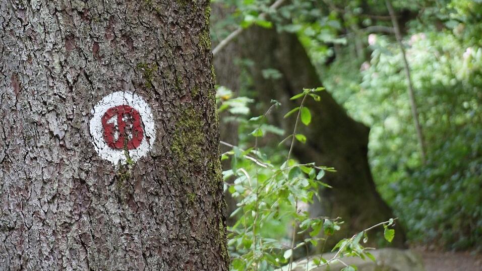 Wunderschönes Ausflugsziel in Passau: die Halser Ilzschleifen. Wunderschönes Ausflugsziel in Passau: die Halser Ilzschleifen.