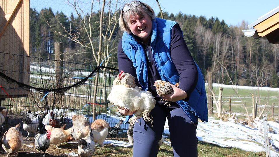 Das sind Sabine Bielmeiers Lieblinge: In der bunten Inklusionsherde findet zusammen, was nirgendwo sonst reinpasst. Von den Sulmtaler Raritäten bis zum frechen Appenzeller Gockel. Das sind Sabine Bielmeiers Lieblinge: In der bunten Inklusionsherde findet zusammen, was nirgendwo sonst reinpasst. Von den Sulmtaler Raritäten bis zum frechen Appenzeller Gockel.