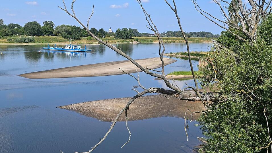 Eine Fähre quert die Elbe in Sachsen-Anhalt. (Archivbild) Eine Fähre quert die Elbe in Sachsen-Anhalt. (Archivbild)