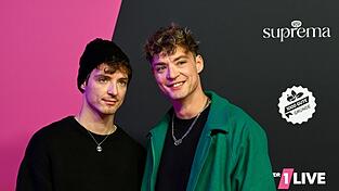 Roman (l) und Heiko (r) Lochmann nennen sich musikalisch mittlerweile HE/RO. (Archivbild) Roman (l) und Heiko (r) Lochmann nennen sich musikalisch mittlerweile HE/RO. (Archivbild)