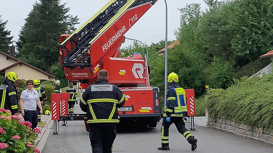 Die Drehleiter der Landauer Wehr kam zum Einsatz.