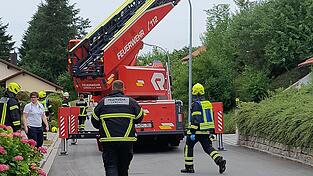 Die Drehleiter der Landauer Wehr kam zum Einsatz.