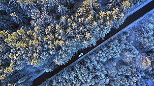 Mit Schnee und Frost startet der Freistaat ins neue Jahr. (Archivbild)