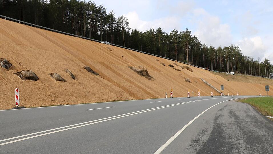 Aktuell wird die B&ouml;schung an der Umgehungsstra&szlig;e begr&uuml;nt. Die gr&ouml;&szlig;eren Steine, die sichtbar sind, sind zus&auml;tzlicher Erosionsschutz: Dadurch wird das ablaufende Wasser gebremst - damit es m&ouml;glichst wenig Gestein oder andere Sedimente mit sich zieht.