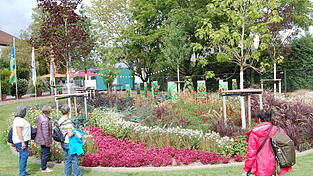 Eine der schönen Blumeninseln in der Nähe des Schattengartens.