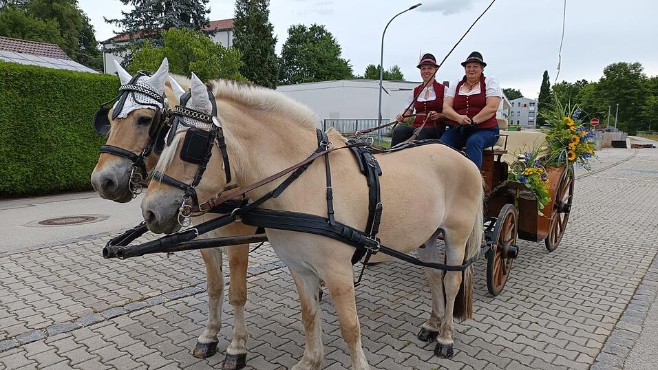 Barbara M&uuml;ller (rechts) f&auml;hrt mit ihren Norwegern seit Jahren die B&uuml;rgermeister-Kutsche beim Volksfestausmarsch in Bogen.