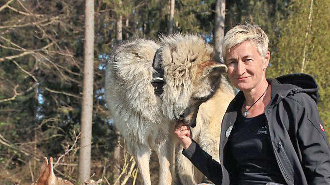 Gabriele Sinicki. Gabriele Sinicki.