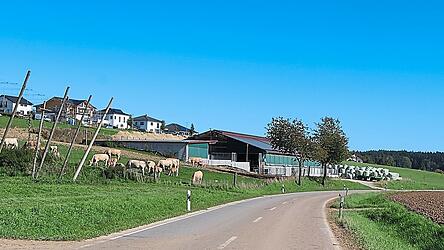 Der Stall bei Schmatzhausen liegt in der Nähe eines Wohngebiets. Zwei Anwohner haben im Juli 2023 Klage gegen die Baugenehmigung des Landratsamtes eingereicht. Ein Gerichtstermin ist auch nach über zwei Jahren noch nicht in Sicht.