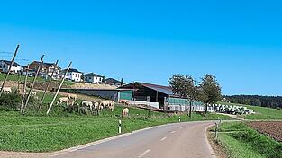 Der Stall bei Schmatzhausen liegt in der Nähe eines Wohngebiets. Zwei Anwohner haben im Juli 2023 Klage gegen die Baugenehmigung des Landratsamtes eingereicht. Ein Gerichtstermin ist auch nach über zwei Jahren noch nicht in Sicht.