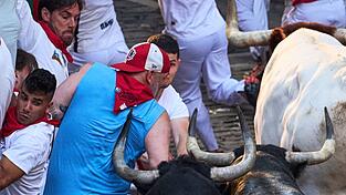 Auf Tuchf&uuml;hlung mit dem Tod: Die spitzen und langen H&ouml;rner der Kampfstiere k&ouml;nnen den L&auml;ufern bei den Stierhatzen w&auml;hrend des ebenso ber&uuml;hmten wie umstrittenen San-Ferm&iacute;n-Festes im nordspanischen Pamplona lebensgef&auml;hrliche Verletzungen zuf&uuml;gen.