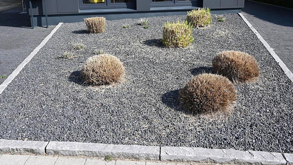 Die Naturschützer beklagen, dass in Bayern Regelungen gestrichen werden, die bisher Schottergärten verhindert haben. (Symbolfoto)