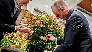 Bundeskanzler Friedrich Merz (r.) ist auf seiner Asien-Reise - die erste Station ist Singapur - auf der Suche nach neuen Allianzen. Bundeskanzler Friedrich Merz (r.) ist auf seiner Asien-Reise - die erste Station ist Singapur - auf der Suche nach neuen Allianzen.