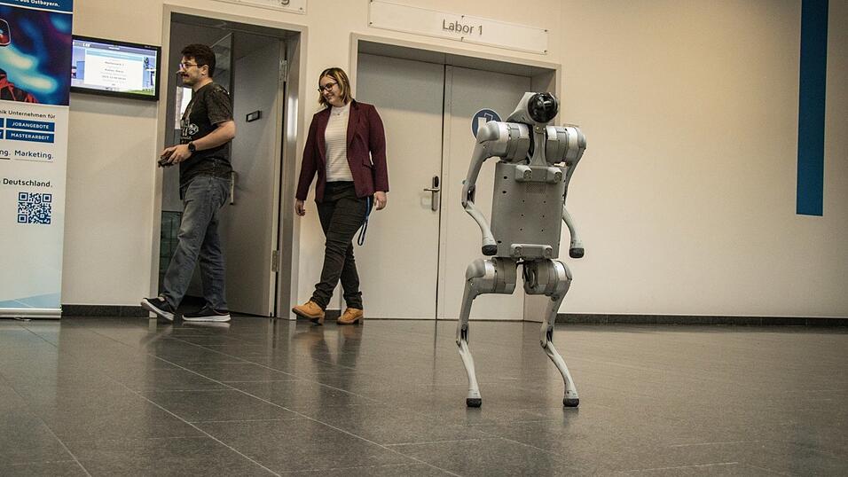 Speedy auf zwei Beinen